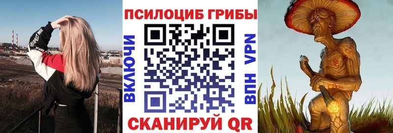 Галлюциногенные грибы мицелий  Купить закладки  Боготол 
